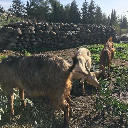 Natura-Eco Farm Dış mekan fotoğraf