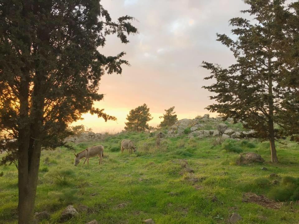 Natura-Eco Farm Dış mekan fotoğraf