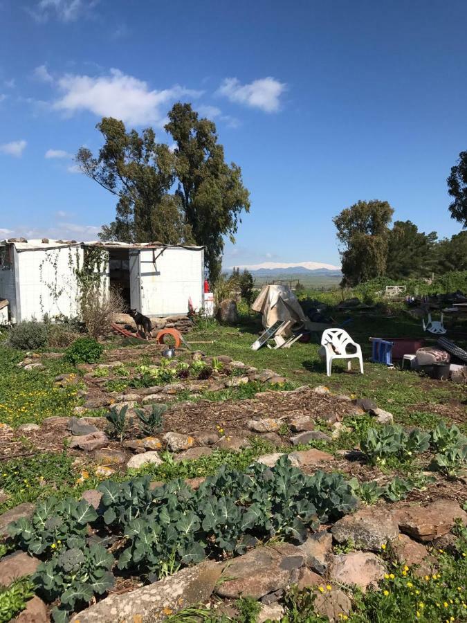 Natura-Eco Farm Dış mekan fotoğraf