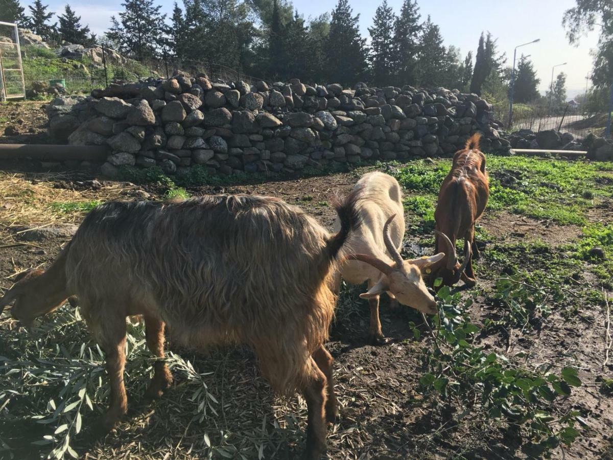 Natura-Eco Farm Dış mekan fotoğraf