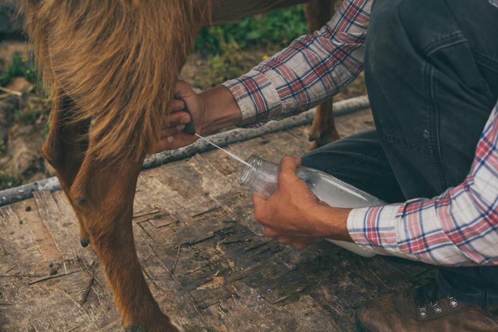 Natura-Eco Farm Dış mekan fotoğraf